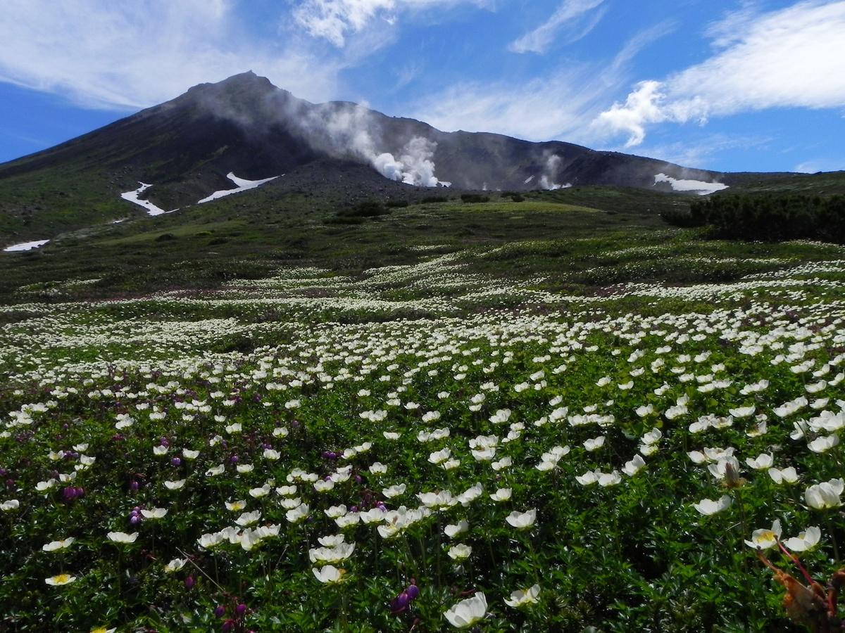 Asahidake Onsen Hotel Deer Valley Higashikawa Екстер'єр фото