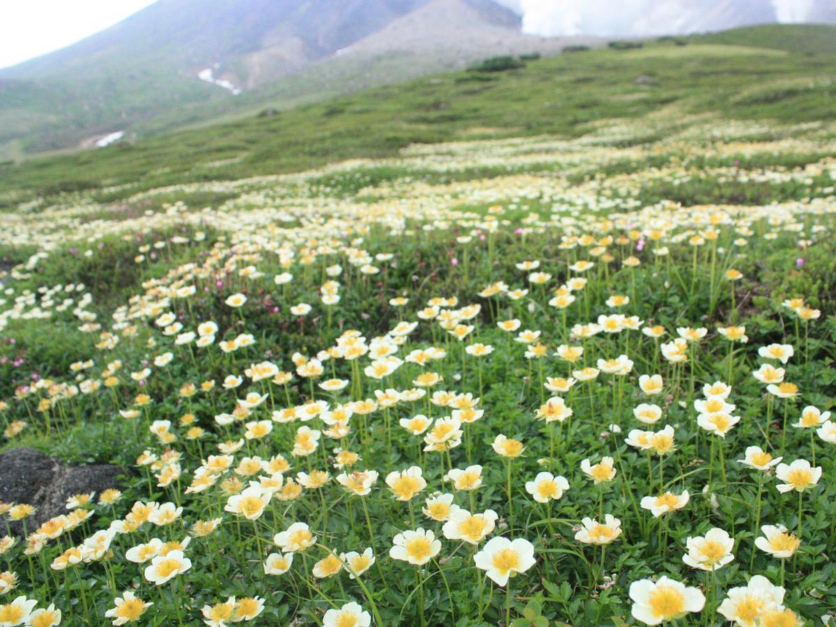 Asahidake Onsen Hotel Deer Valley Higashikawa Екстер'єр фото